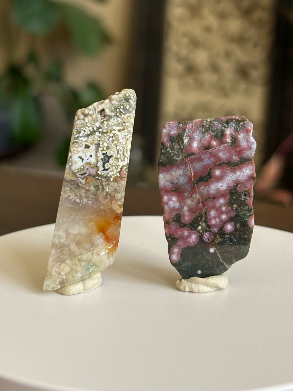 Ocean Jasper Crystal Set - Polished Sea Jasper Bundle - Orbicular Jasper